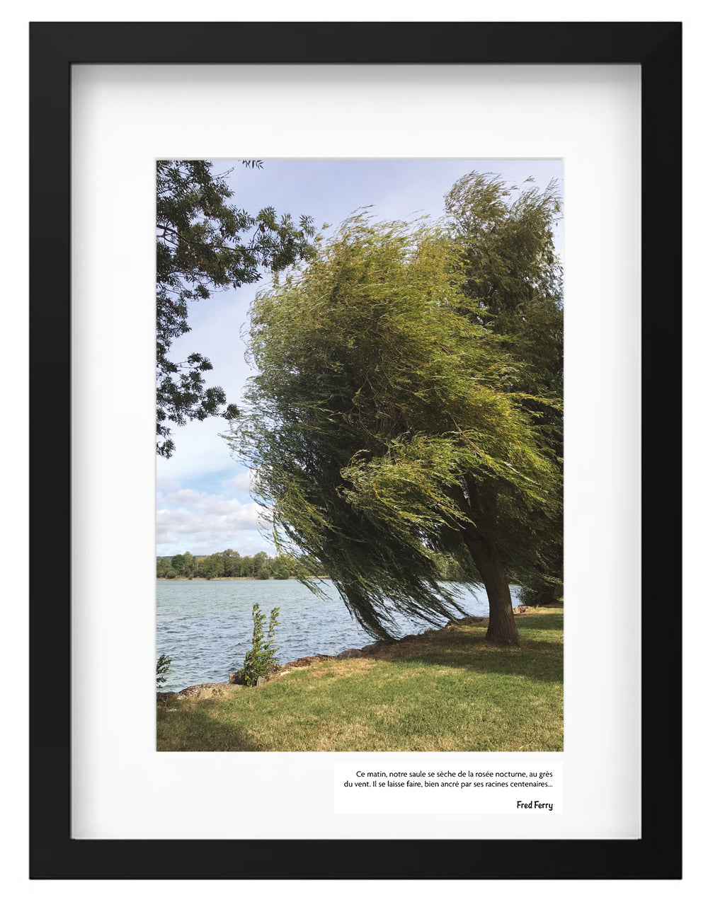 LES TABLEAUX DU LAC - REF P3233