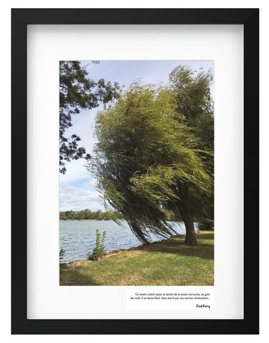 LES TABLEAUX DU LAC - REF P3233